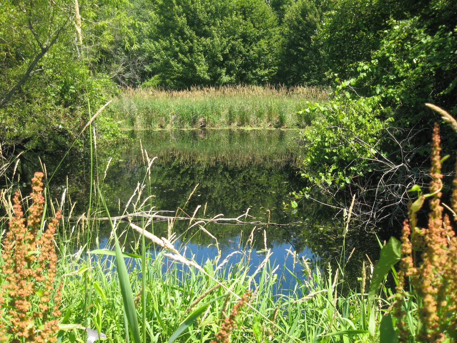 Bliss Michigan Bliss.