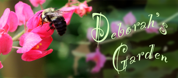 Deborah's Garden