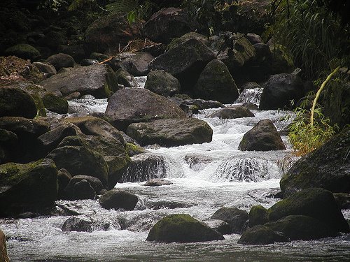 Mountain Stream, Dominica
