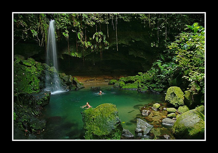 Emerald Pool, Dominica