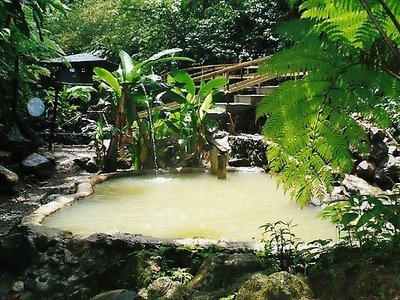 'Screws' Natural Sulphur Spa Bath - Wotten Waven, Dominica