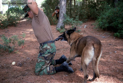 Funny military photos (11) 10