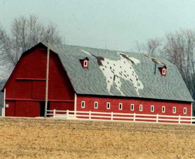 Roof Art Barns (18) 9