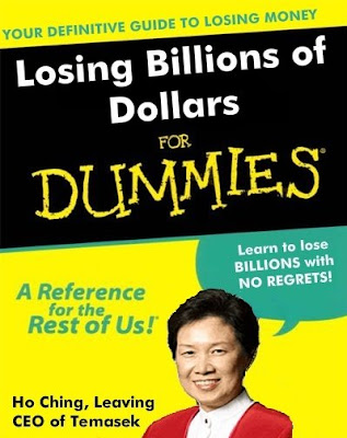LOSING+BILLIONS+FOR+DUMMIES.jpg