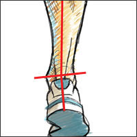 Pronación, La explicación. ~ Nioz