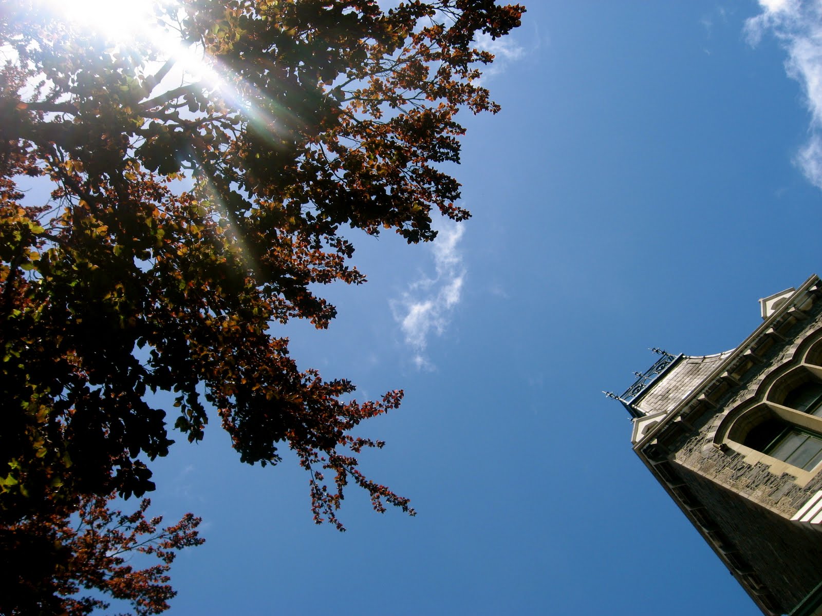 Christmas In Christchurch This Battered Suitcase
