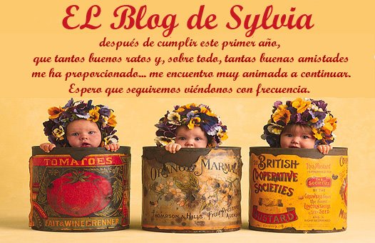 Patchwork El blog de Sylvia