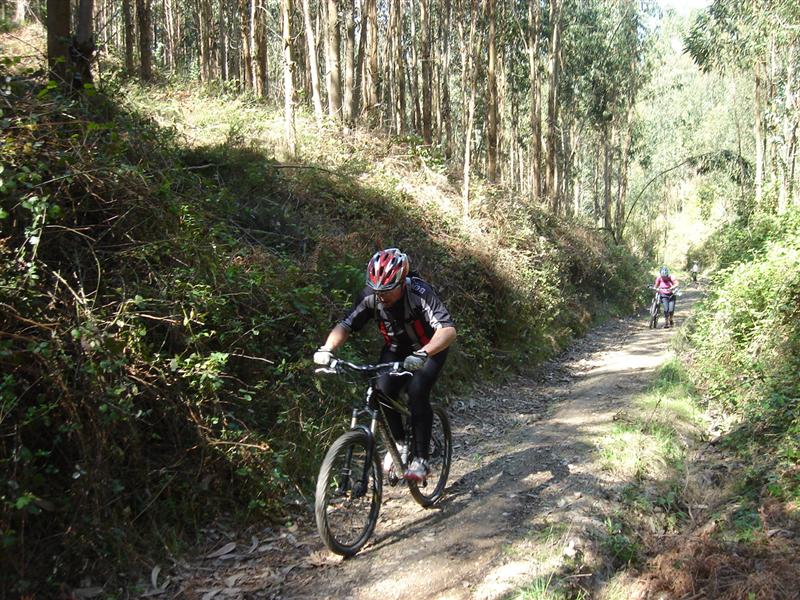 [DSC00879+(Medium).JPG]