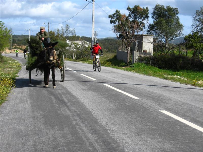 [IMG_0285+(Medium).JPG]