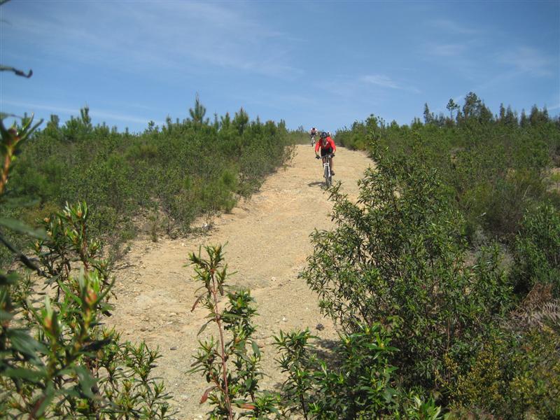 [IMG_5956+(Medium).JPG]