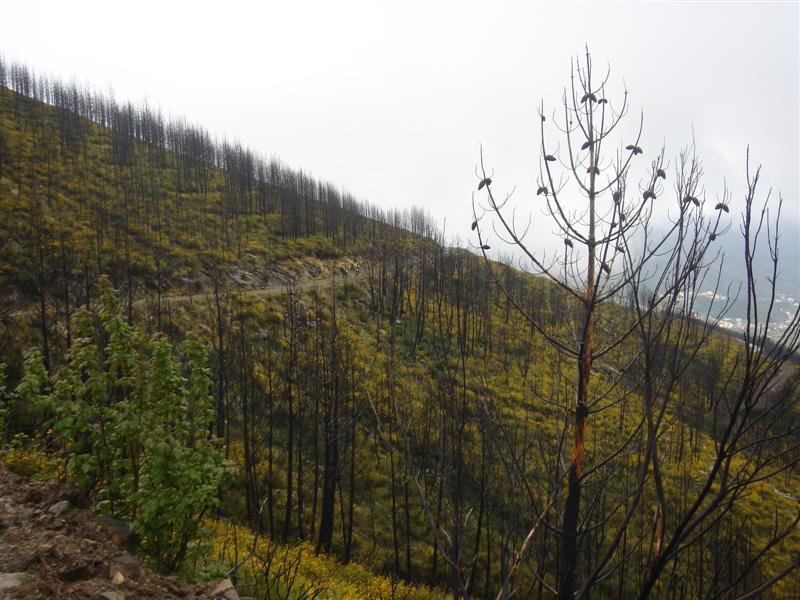 [Rotas+do+Marão+113+(Medium).jpg]