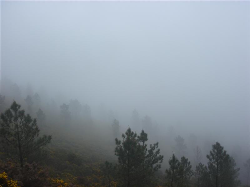 [Rotas+do+Marão+112+(Medium).jpg]