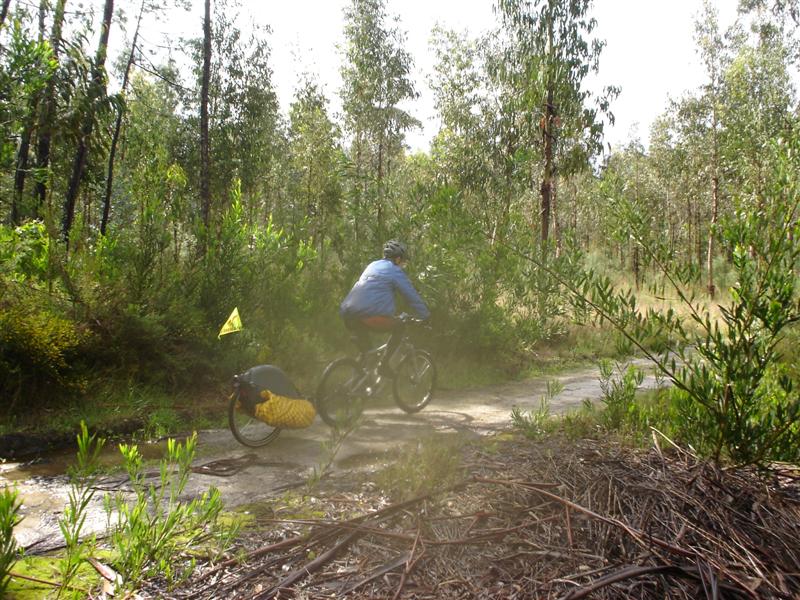 [Passeio+G.D.+Verdemilho+073+(Medium).jpg]