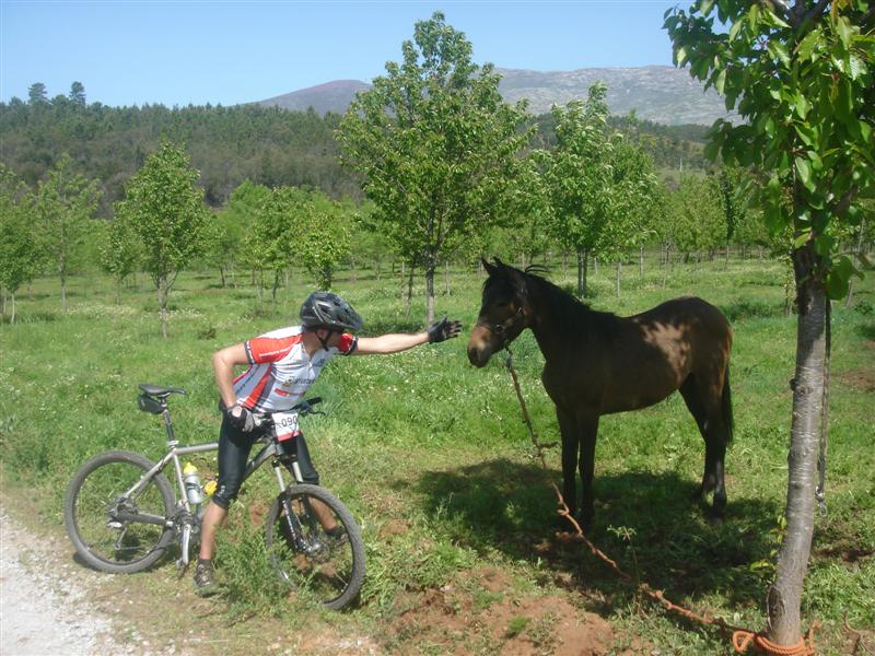 [Maratona+do+Paul+2008+141+(Medium).jpg]