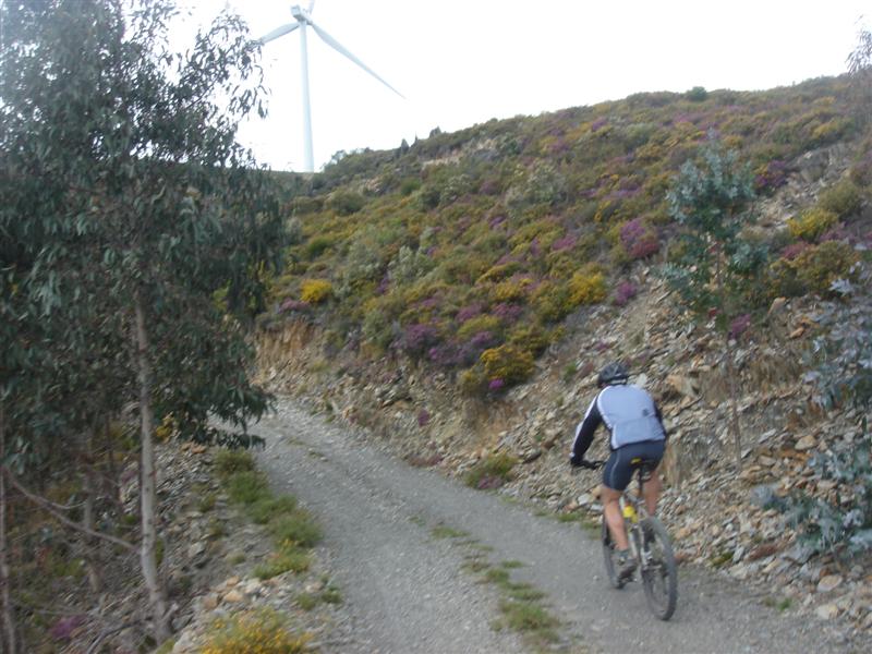 [Caramulinho+10+maio+195+(Medium).jpg]