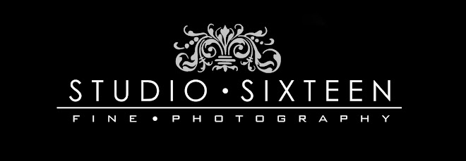 Studio Sixteen Photography