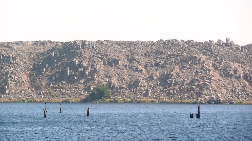 [resizedP1150995.jpg]