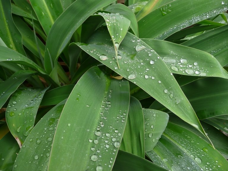 [resizedP1110399.JPG]