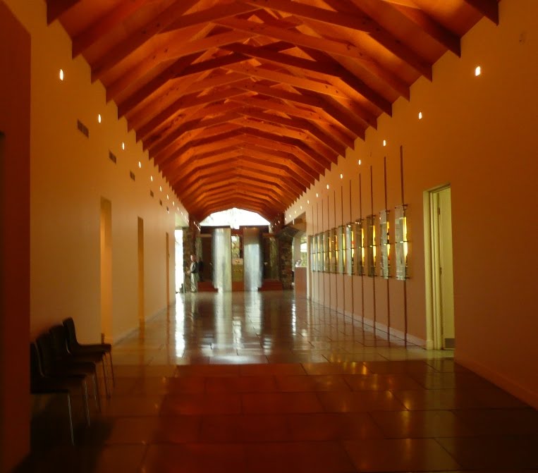[resizedP1120738.JPG]