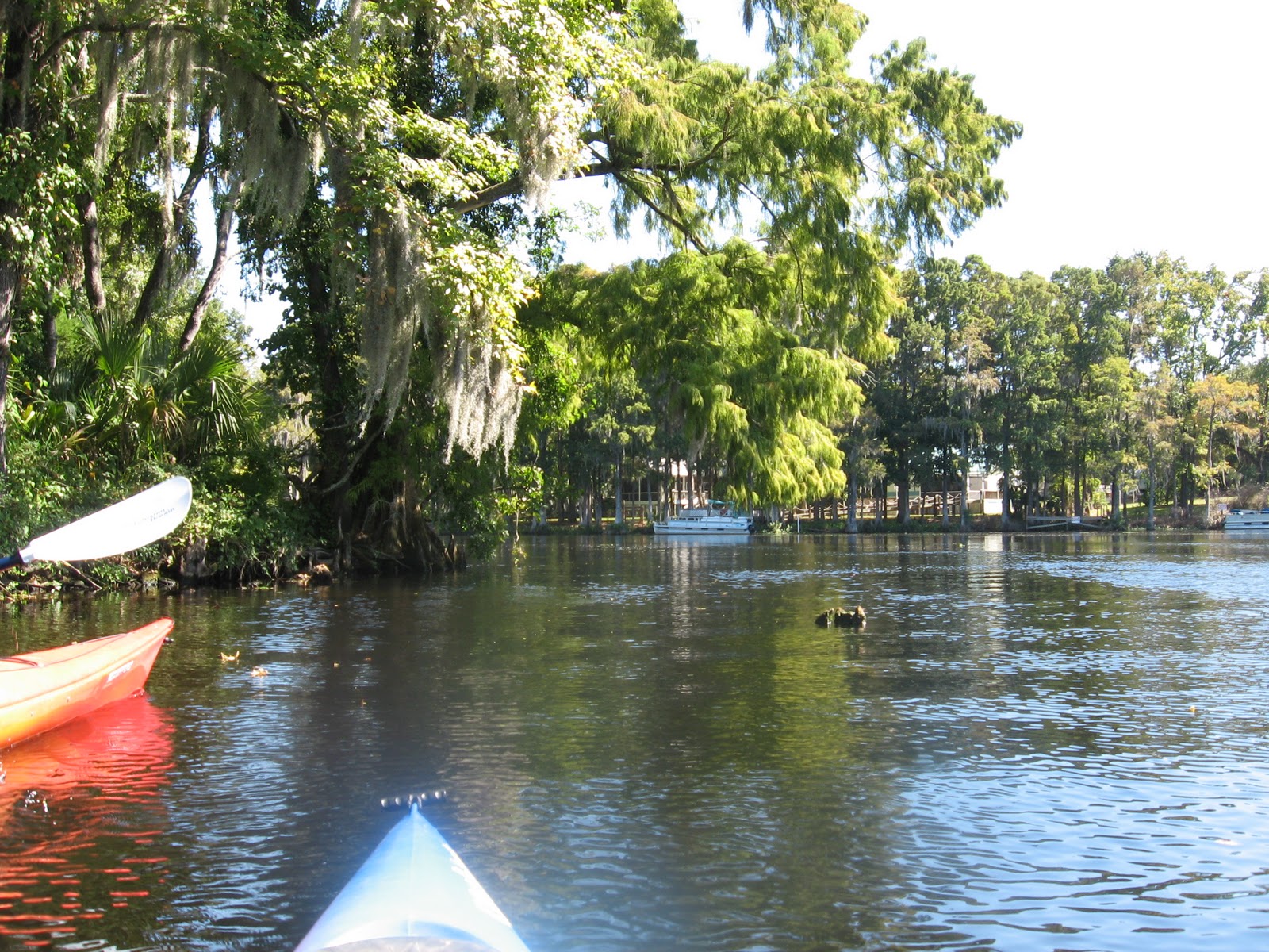 In the Direction of Our Dreams Withlacoochee The River
