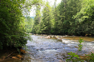 Southern Lagniappe: Rambling in the North Georgia Mountains