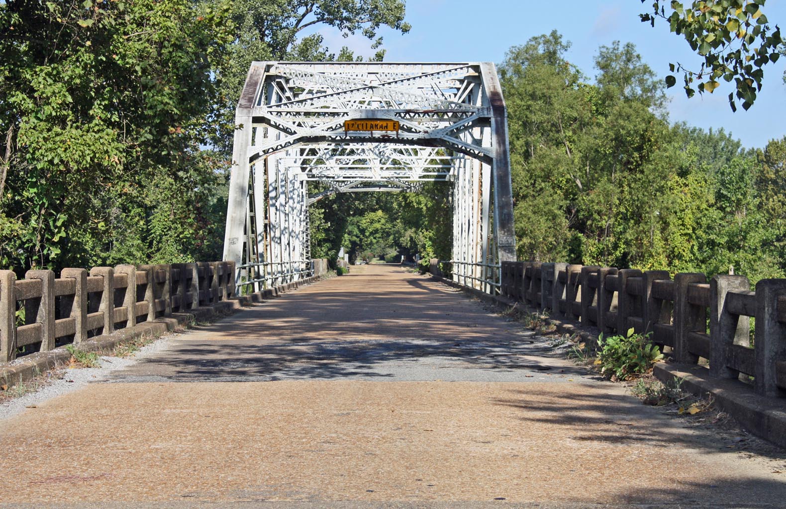 Southern Lagniappe Country Roads and Fence Rows