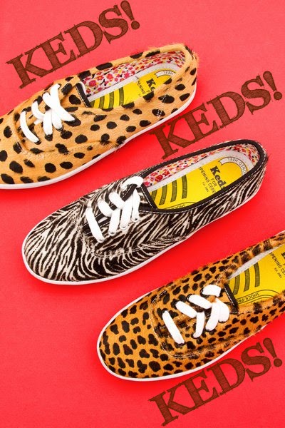 [KEDS.jpg]
