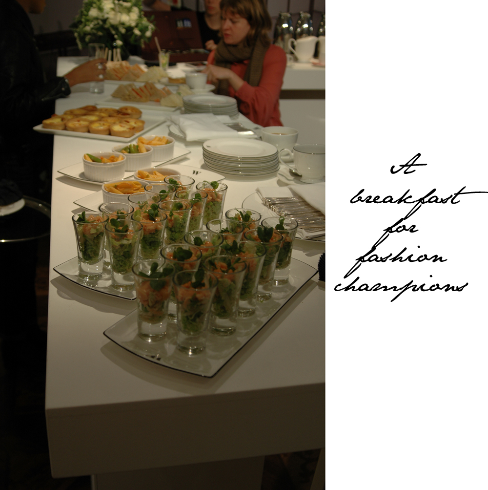 Modus Publicity Press Preview Spring Summer 2011 - Emily Jane Johnston