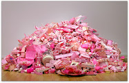 Pink Project by Portia Munson