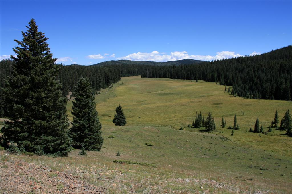 Rick & Y's Travels Greenie Peak Red River, New Mexico