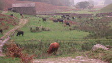 Hartsop Hall farm in Patterdale Cumbria