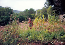 Huerto biológico de Jardín de Mar