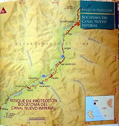 Bosque de Protección "Bocatoma del canal de Nuevo Imperial". rotected Forest "Intake Canal New Im