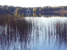 Höstbild vid sjön