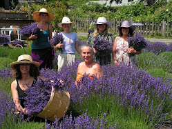 Harvest 2009