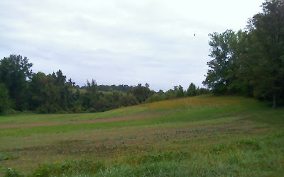 Clagett Farm field