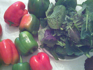 bell peppers and greens from Clagett Farm