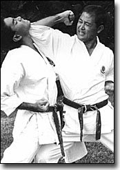 Shotokan Karate - art of the empty hand: Kata and self defense