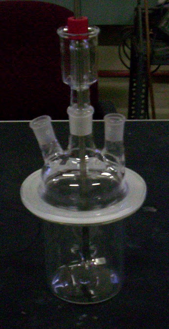 reactor with stirrer guide