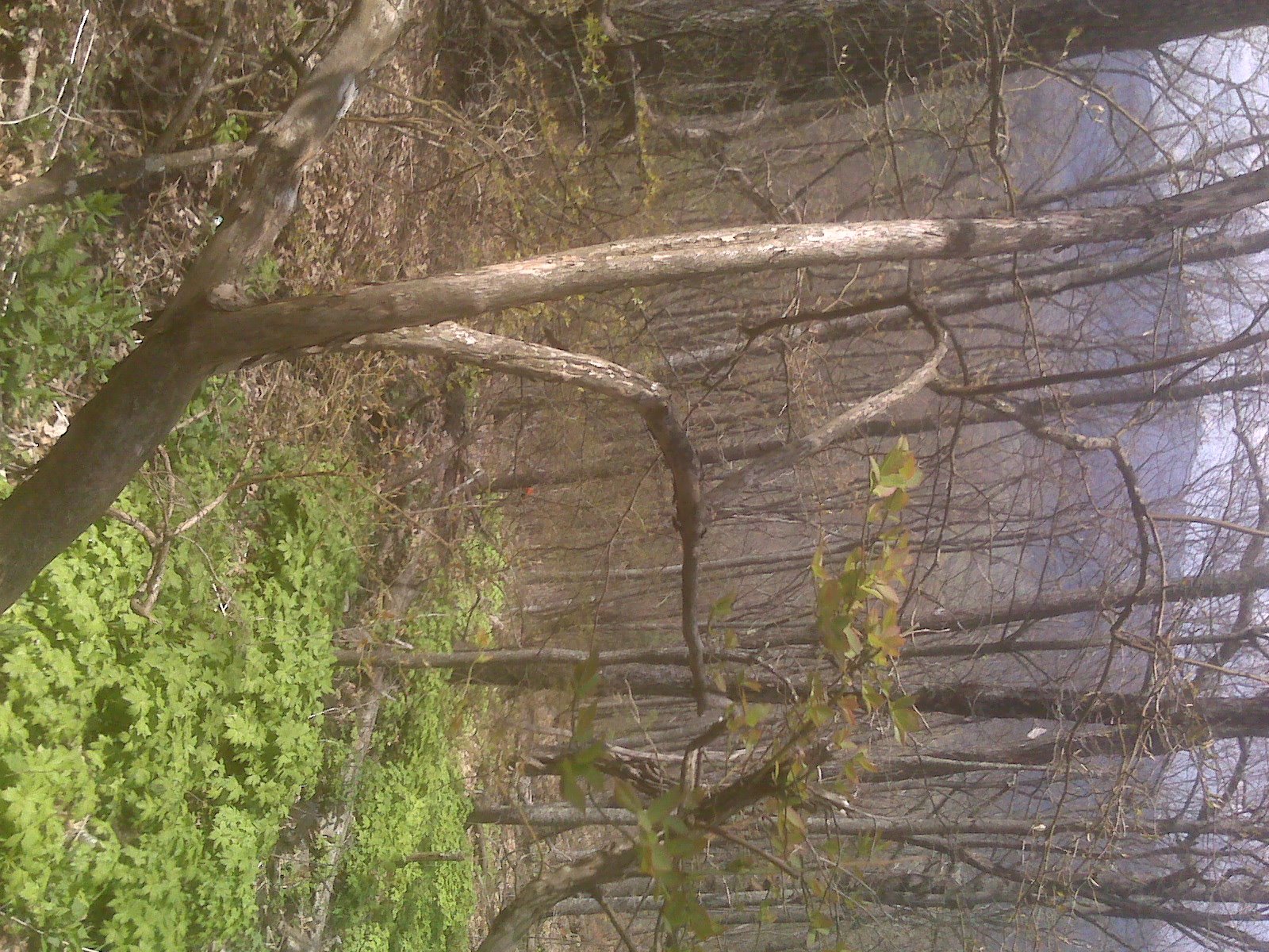 [=?utf-8?B?SU1HMDAwMTUuanBn?=-772391]