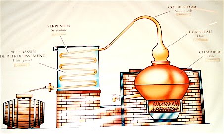 Cognac Appreciation Course @ Singapore: VSOP Cognac