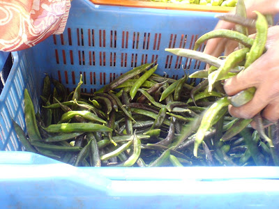 This Week at the Farmer's Market - Green Beans