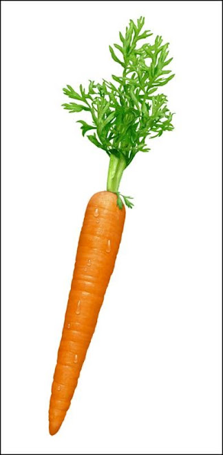 Me: In Carrot Form