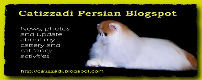 Catizzadi Persian