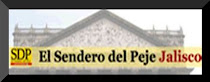 SDP JALISCO