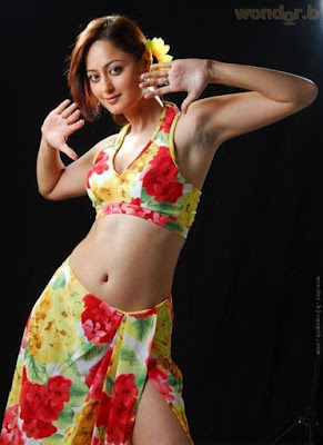 Kaveri hot color dress photo
