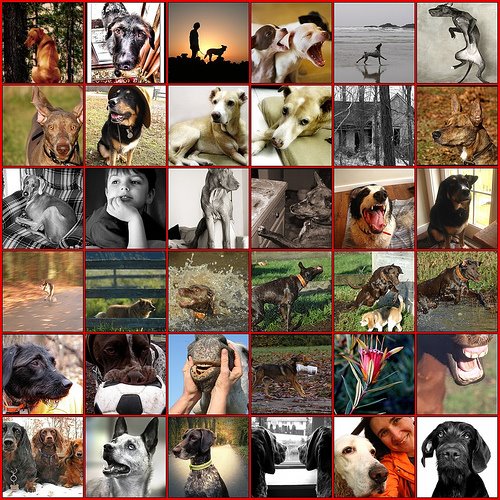 [309276570_b38bc6bc8c.jpg]