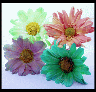 Artistic Colorful Wallpaper