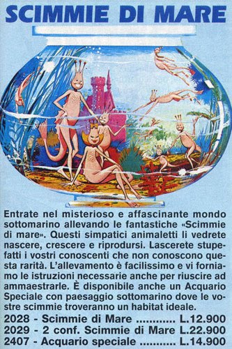 Mahengechromis Le scimmie di mare di casa nostra anostraci nostrani