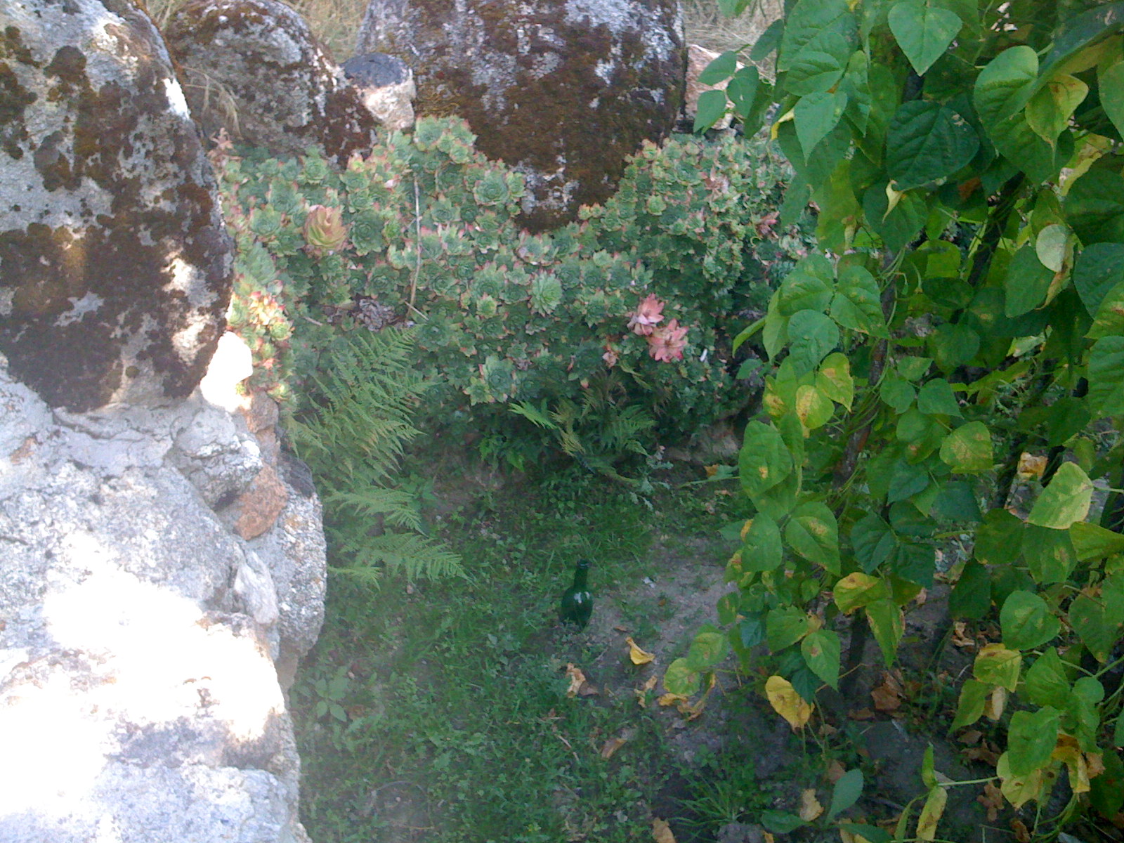 [IMG_0416.jpg]